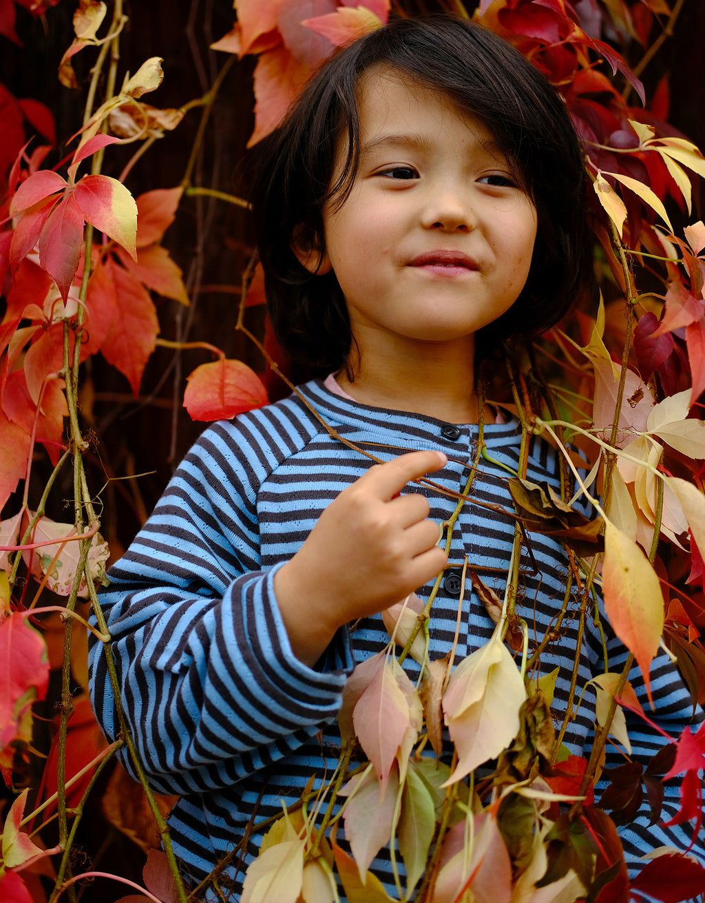 Blueberry Milk Cardigan
