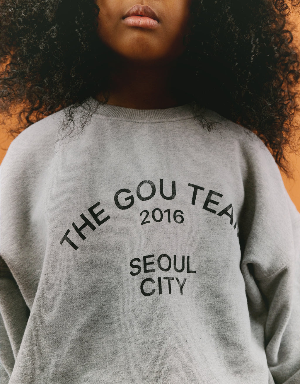 Grey Seoul Jumper