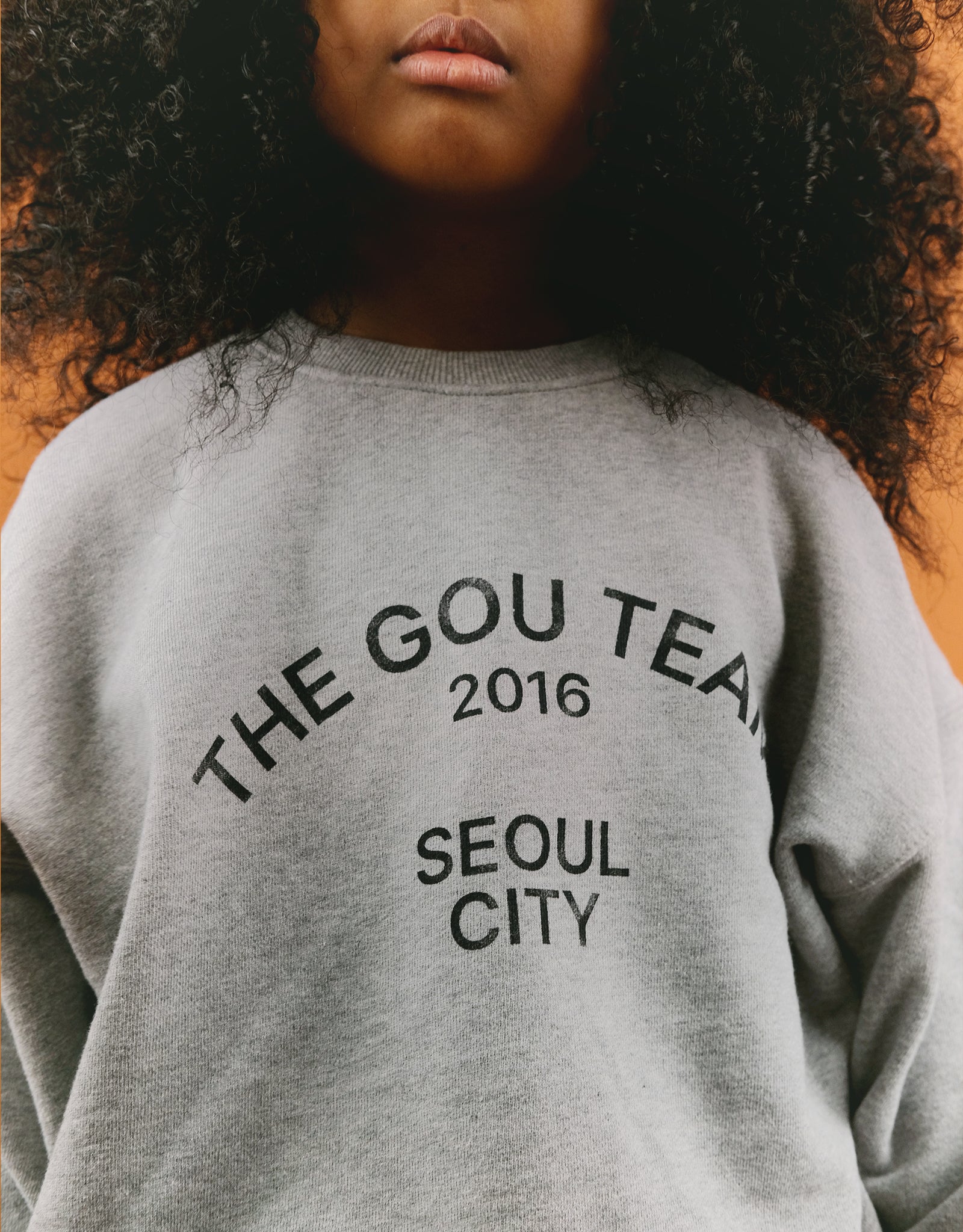 Grey Seoul Jumper