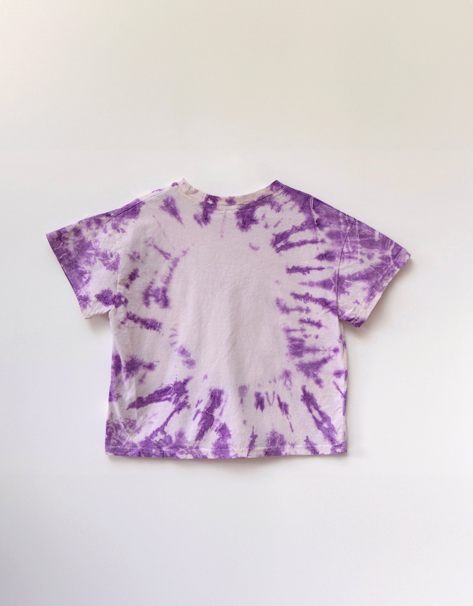 Apple Food Tee